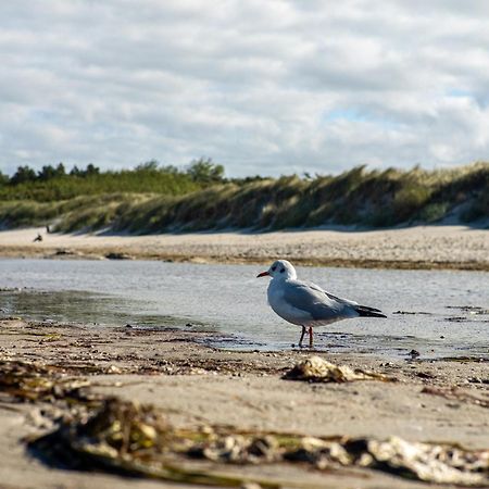 Bickbeeren Fewo Bickbeeren Barbara Whg 5 Дирхаген Экстерьер фото